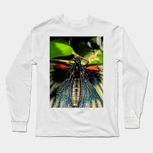 The Great Mormon Butterfly Long Sleeve T-Shirt